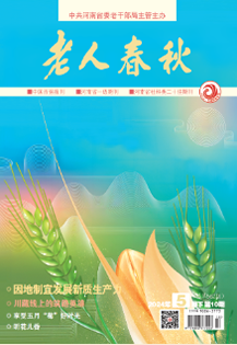 2024年5月下